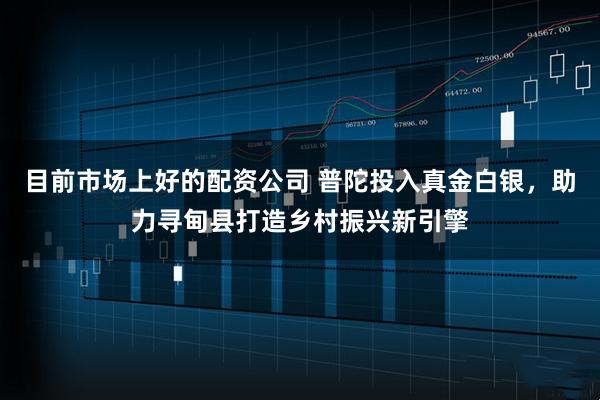 目前市场上好的配资公司 普陀投入真金白银，助力寻甸县打造乡村振兴新引擎