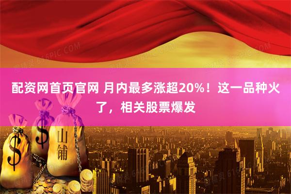 配资网首页官网 月内最多涨超20%！这一品种火了，相关股票爆发